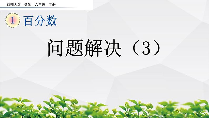 新西师大版数学六年级下册课件:1.9 问题解决(3)第1页