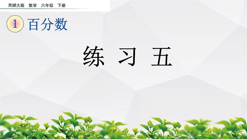 新西师大版数学六年级下册课件:1.13 练习五01