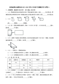 河南省周口市鹿邑县2021-2022学年六年级下学期数学学习评价一