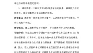 小学数学北师大版三年级下册面积单位的换算教学设计