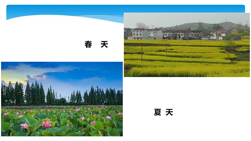 1年級(jí)數(shù)學(xué)北師大版下冊(cè)課件第1單元《1.6美麗的田園》01第4頁(yè)