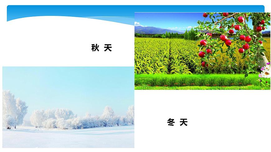 1年級(jí)數(shù)學(xué)北師大版下冊(cè)課件第1單元《1.6美麗的田園》01第5頁(yè)