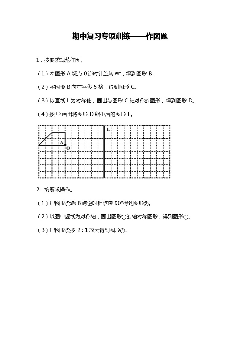 期中复习专项训练—作图题(试题)六年级下册数学人教版第1页