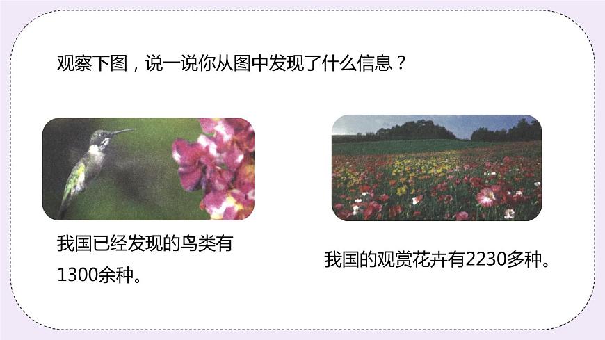 1.4《 近似數(shù)》PPT課件第3頁