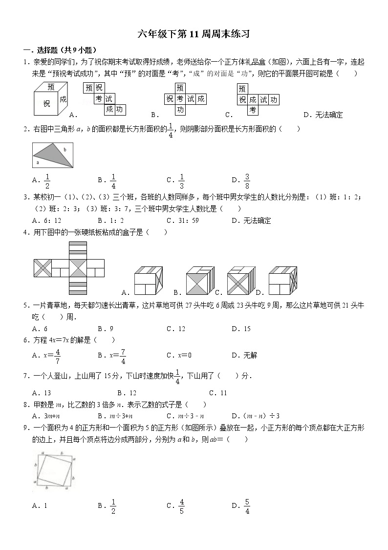 苏教版数学六年级下册第11周周末练习01