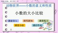 小学数学五 动物世界——小数的意义和性质优秀ppt课件