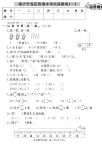 （2023春）潍坊专版-青岛版小学数学（一下）-各区县期末考试真题卷（共28页7套）