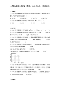 小升初知识点分类汇编（贵州）-08比和比例1（专项练习）-六年级数学下册人教版