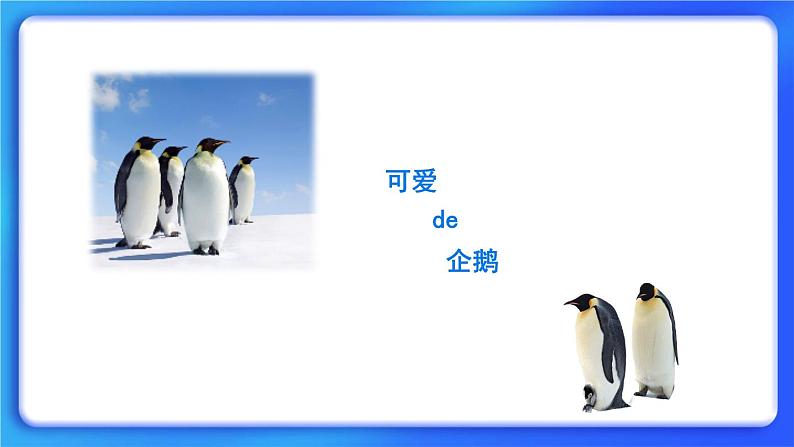 3.7《可爱的企鹅》课件+教案02