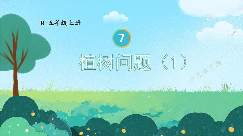 第1课时 植树问题(1)第1页