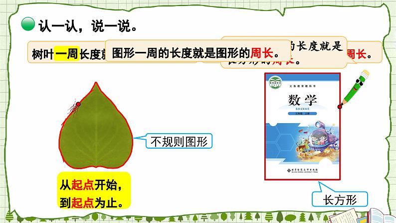 北师版数学三年级上册 5.1什么是周长(1)第7页