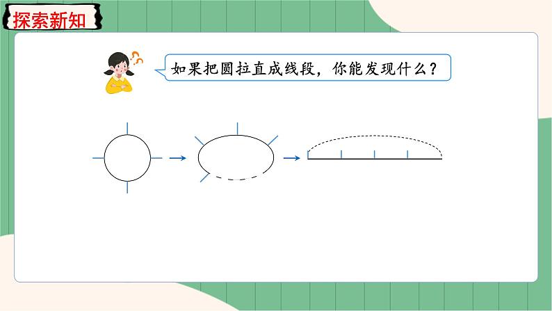 第3课时 封闭图形的植树问题第8页