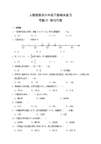 人教版数学6年级下册期末复习专题（一） 数与代数 （附答案）