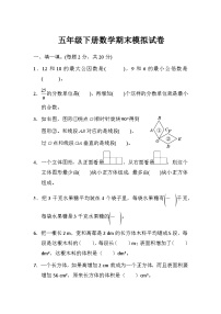 人教版五年级下册数学期末模拟试卷（5）