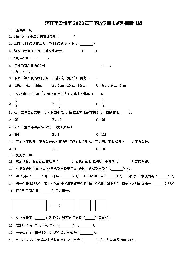 湛江市雷州市2023年三下数学期末监测模拟试题含解析第1页