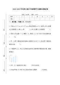 2022-2023年北师大版六年级数学下册期末测试卷
