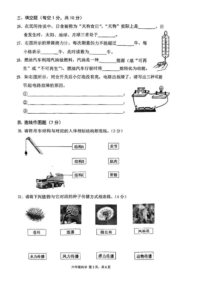 浙江省温州市乐清市2022-2023学年六年级下学期期末考试数学试题03