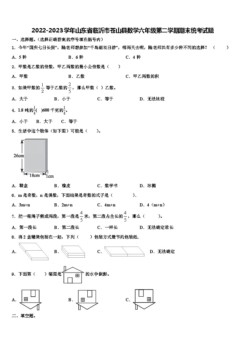 2022-2023学年山东省临沂市苍山县数学六年级第二学期期末统考试题含解析第1页
