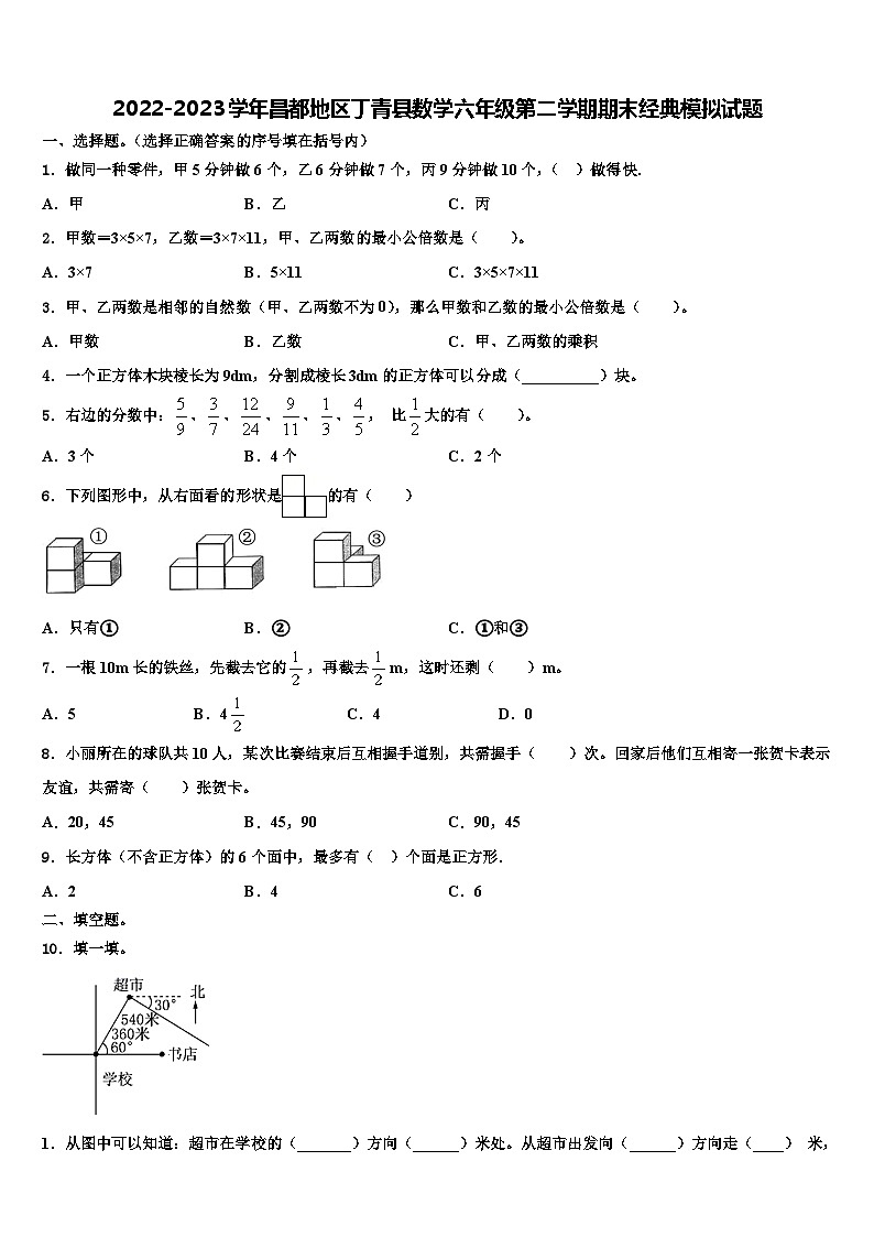 2022-2023学年昌都地区丁青县数学六年级第二学期期末经典模拟试题含解析01