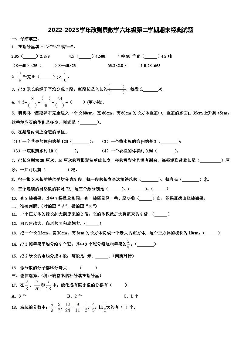 2022-2023学年改则县数学六年级第二学期期末经典试题含解析第1页