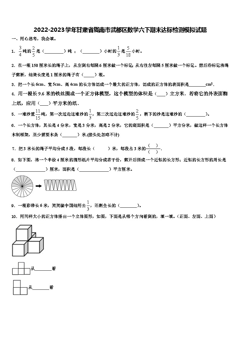 2022-2023学年甘肃省陇南市武都区数学六下期末达标检测模拟试题含解析第1页