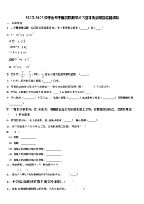 2022-2023学年金华市磐安县数学六下期末质量跟踪监视试题含解析