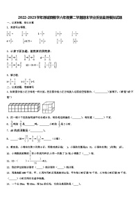 2022-2023學(xué)年通城縣數(shù)學(xué)六年級(jí)第二學(xué)期期末學(xué)業(yè)質(zhì)量監(jiān)測(cè)模擬試題含解析