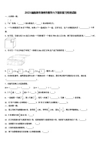 2023届南通市通州市数学六下期末复习检测试题含解析