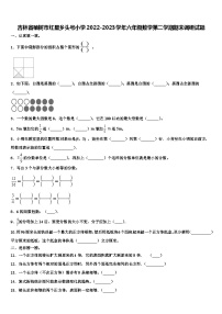 吉林省榆樹市紅星鄉(xiāng)頭號小學(xué)2022-2023學(xué)年六年級數(shù)學(xué)第二學(xué)期期末調(diào)研試題含解析