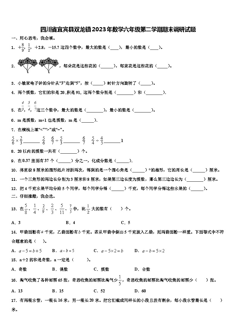 四川省宜宾县双龙镇2023年数学六年级第二学期期末调研试题含解析第1页