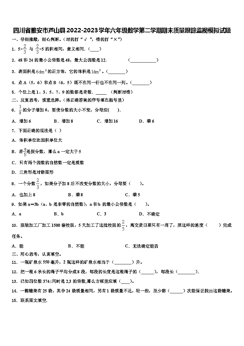 四川省雅安市芦山县2022-2023学年六年级数学第二学期期末质量跟踪监视模拟试题含解析第1页