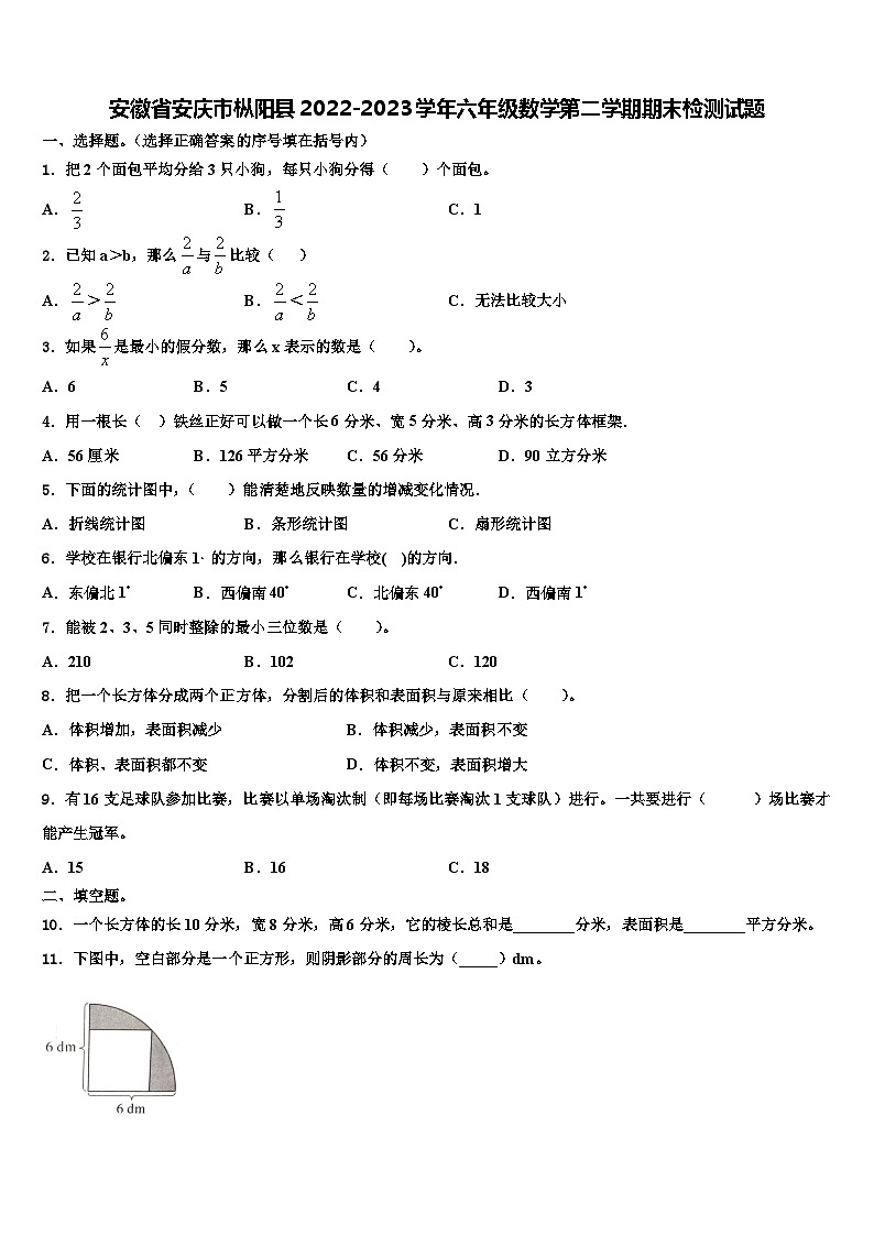安徽省安庆市枞阳县2022-2023学年六年级数学第二学期期末检测试题含解析01