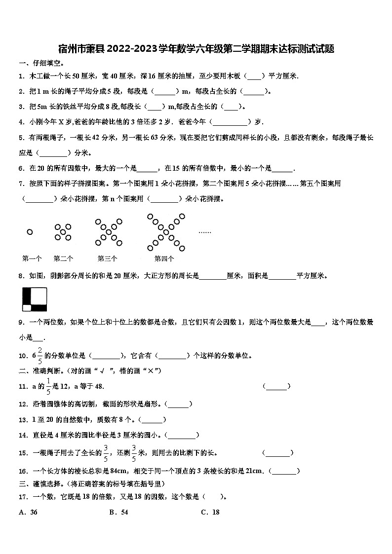 宿州市蕭縣2022-2023學(xué)年數(shù)學(xué)六年級第二學(xué)期期末達(dá)標(biāo)測試試題含解析第1頁