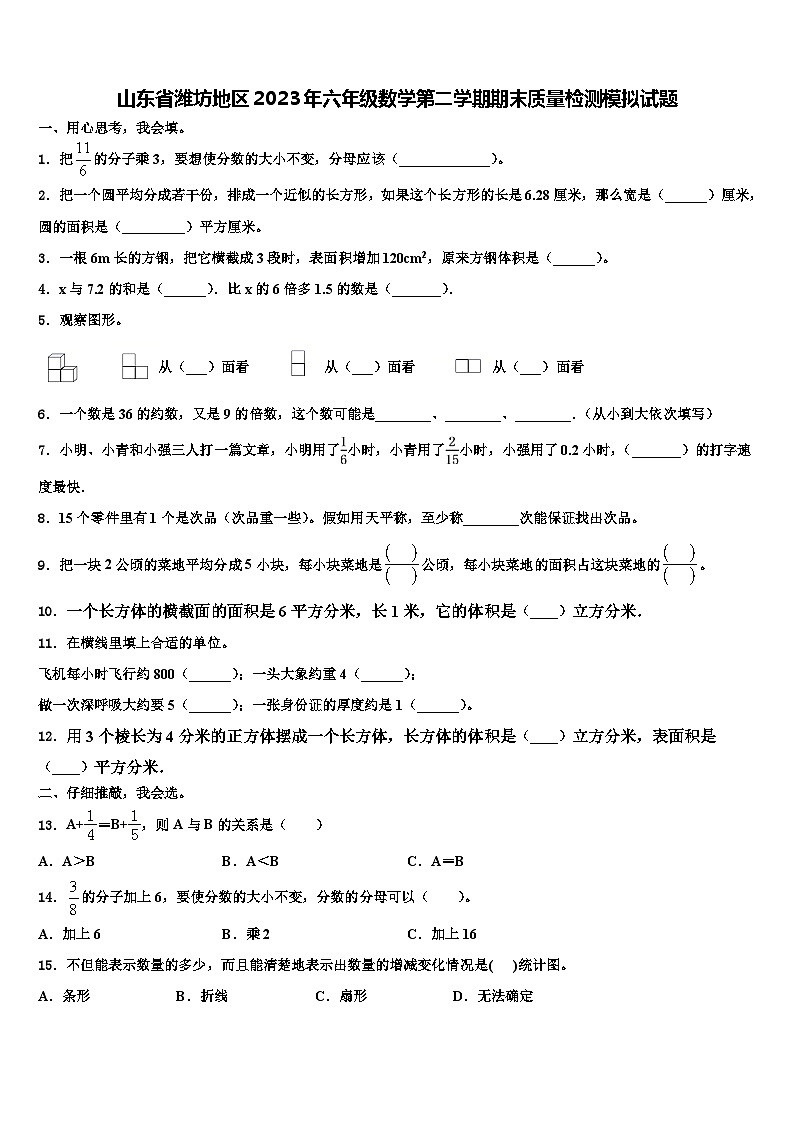 山東省濰坊地區(qū)2023年六年級數(shù)學第二學期期末質(zhì)量檢測模擬試題含解析第1頁