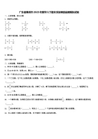 广东省惠州市2023年数学六下期末质量跟踪监视模拟试题含解析