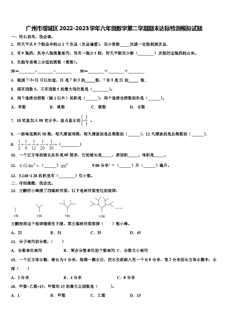 广州市增城区2022-2023学年六年级数学第二学期期末达标检测模拟试题含解析01