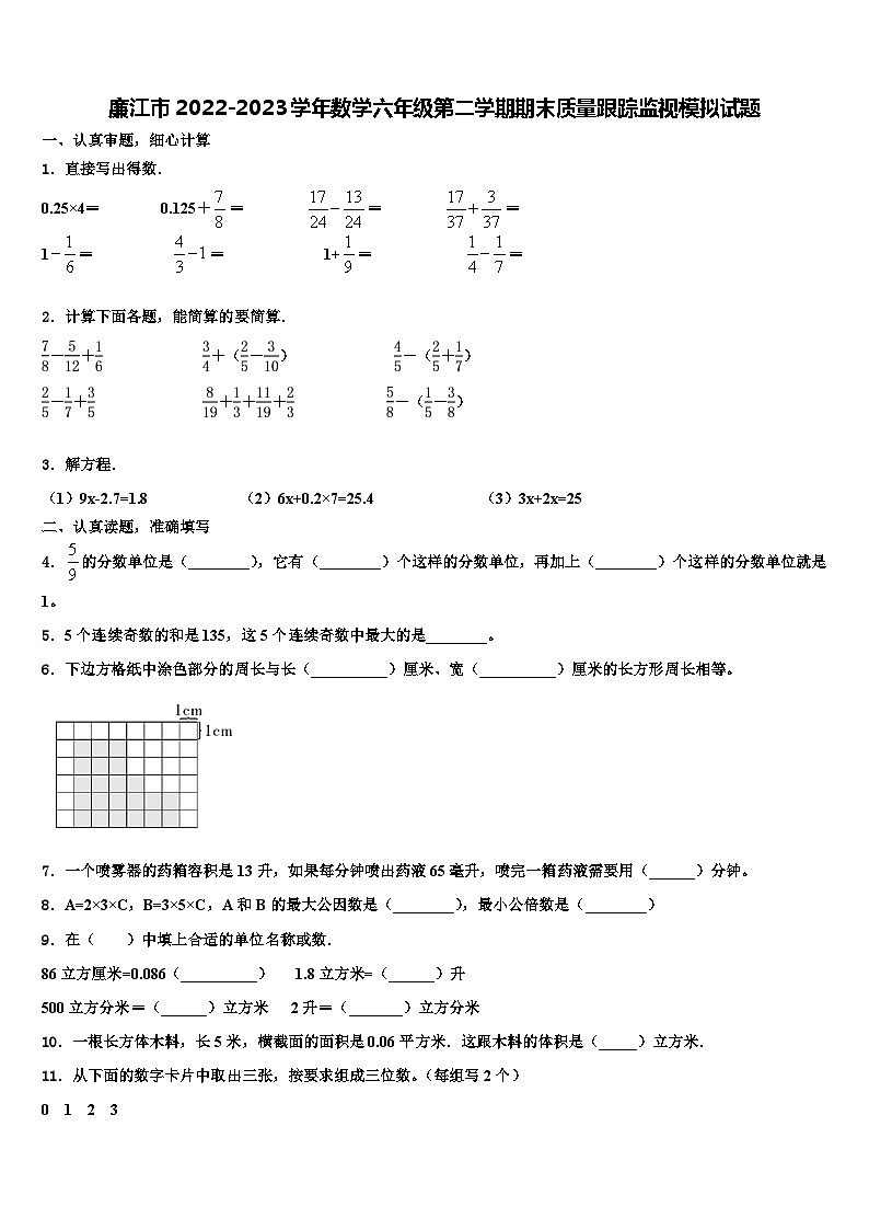 廉江市2022-2023学年数学六年级第二学期期末质量跟踪监视模拟试题含解析01