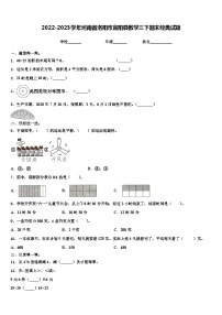 2022-2023学年河南省洛阳市宜阳县数学三下期末经典试题含解析