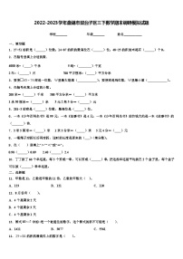 2022-2023学年盘锦市双台子区三下数学期末调研模拟试题含解析