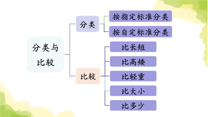 青岛版小学一年级数学上册二妈妈的小帮手分类与比较回顾整理作业课件02