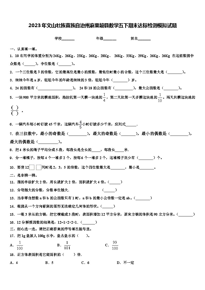 2023年文山壮族苗族自治州麻栗坡县数学五下期末达标检测模拟试题含解析第1页