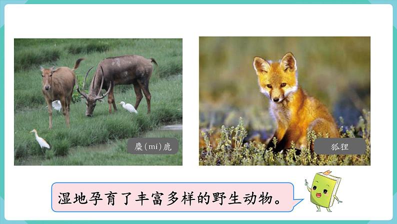 人教数学三年级上册4.1 三位数加三位数(1)课件+教案03