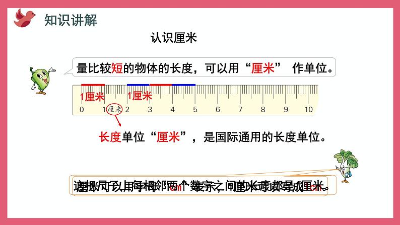 5.2 认识厘米(课件)苏教版二年级上册数学第5页