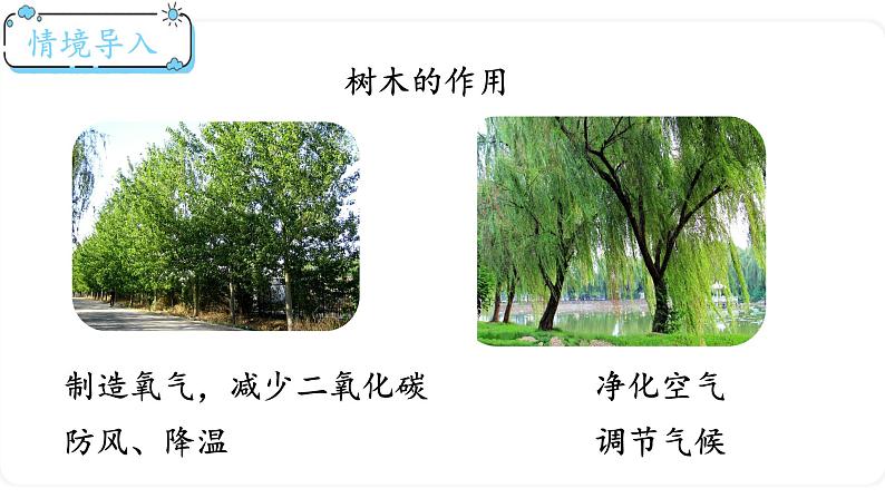北师大版数学一年级上册7.4 有几棵树 课件第2页