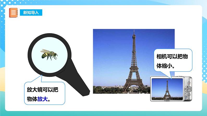 西师大版6上数学 5.1 图形的放大与缩小 课件第3页