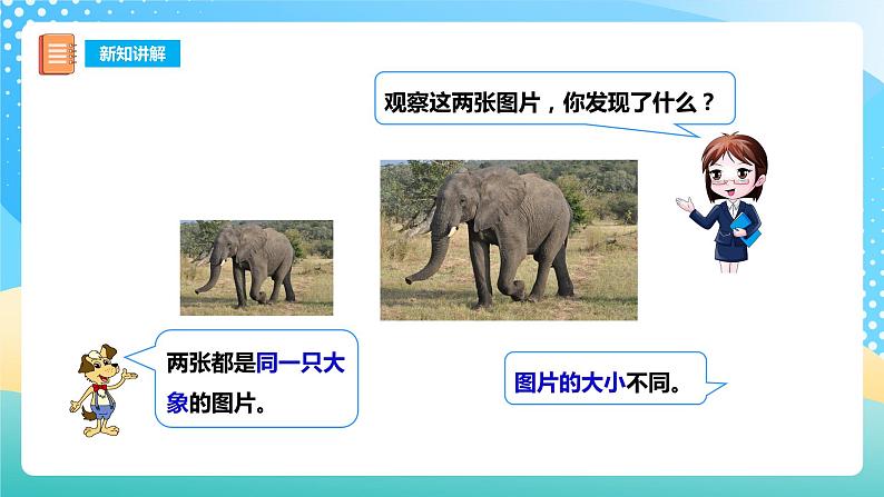 西师大版6上数学 5.1 图形的放大与缩小 课件第6页