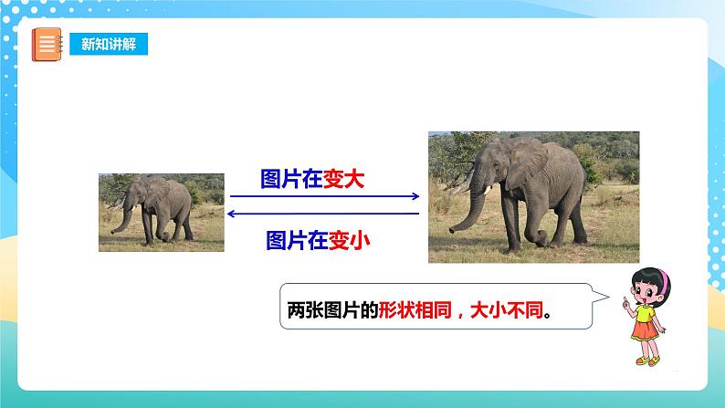 西师大版6上数学 5.1 图形的放大与缩小 课件第7页