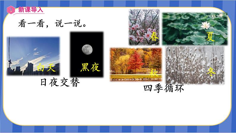 【同步备课】第三单元 第7课时 循环小数(课件)五年级数学上册(人教版)03