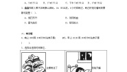 小学数学西师大版三年级上册2.24时计时法课堂检测