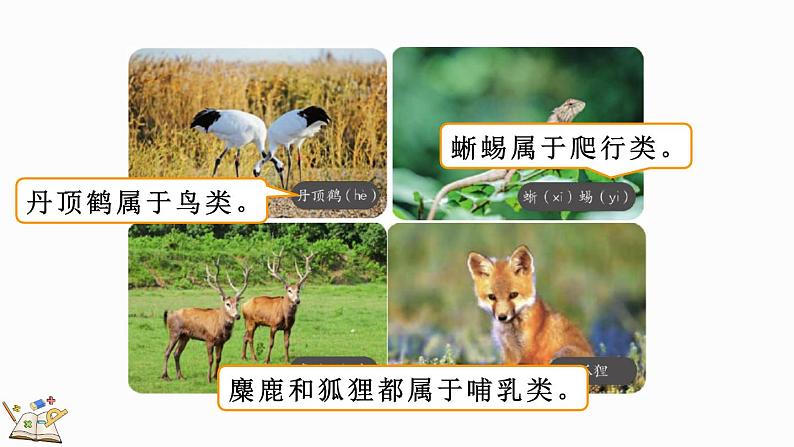 人教版数学三年级上册4.1.1 三位数加三位数(1)(课件)03
